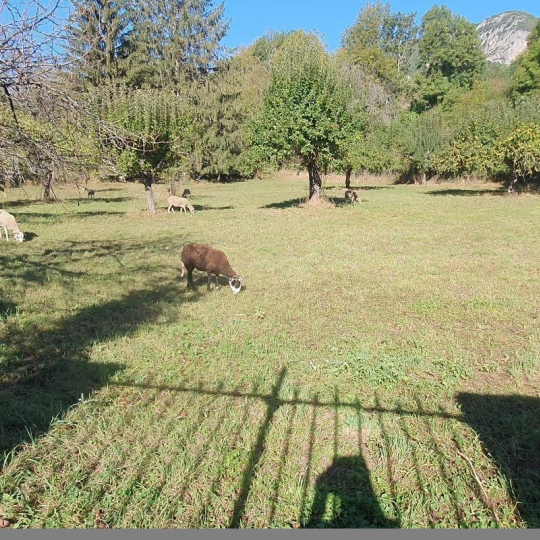 OVALIE IMMOBILIER : Terrain | LES CABANNES (09310) | m2 | 44 000 € 