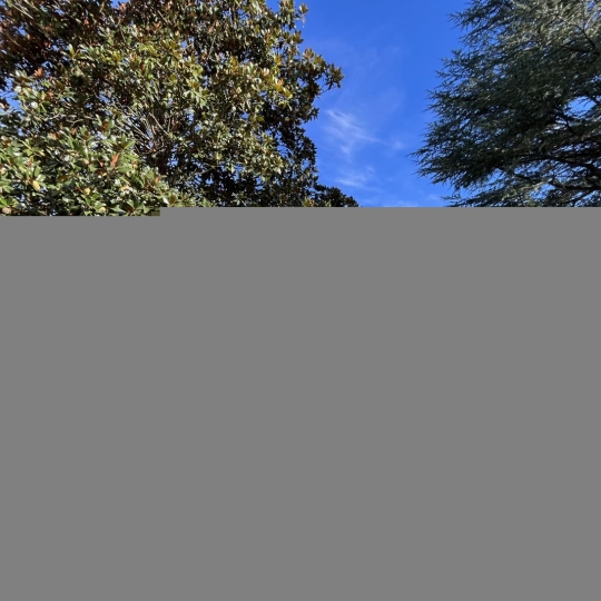  OVALIE IMMOBILIER : Maison / Villa | TARASCON-SUR-ARIEGE (09400) | 230 m2 | 172 000 &euro; 