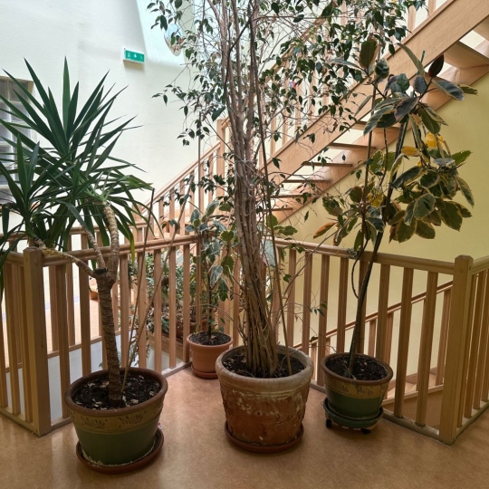  OVALIE IMMOBILIER : Appartement | AX-LES-THERMES (09110) | 64 m2 | 172 500 € 