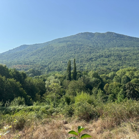 OVALIE IMMOBILIER : Terrain | RABAT-LES-TROIS-SEIGNEURS (09400) | 0 m2 | 54 000 € 