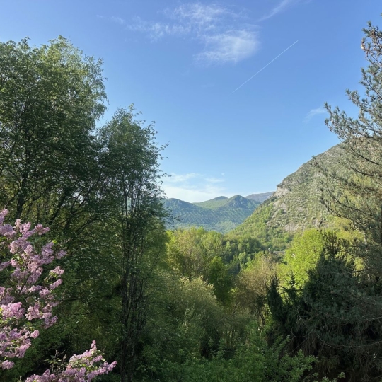  OVALIE IMMOBILIER : Maison / Villa | BEDEILHAC-ET-AYNAT (09400) | 140 m2 | 189 000 &euro; 