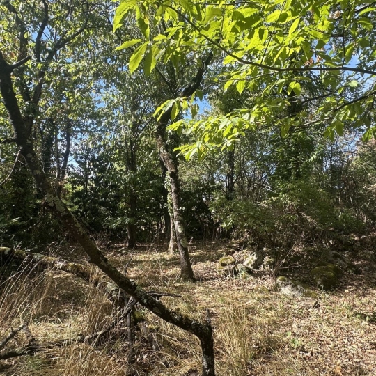  OVALIE IMMOBILIER : Ground | MONTGAILLARD (09330) | 0 m2 | 116 000 &euro; 