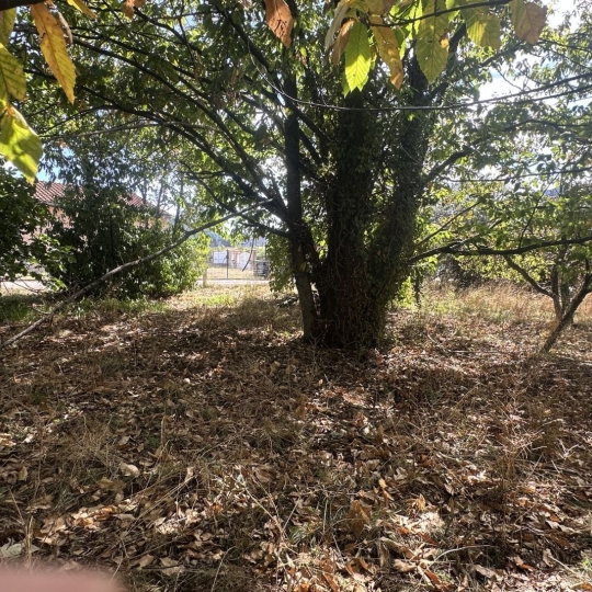  OVALIE IMMOBILIER : Ground | MONTGAILLARD (09330) | 0 m2 | 116 000 &euro; 