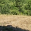  OVALIE IMMOBILIER : Terrain | AX-LES-THERMES (09110) | 0 m2 | 55 600 &euro; 