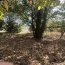  OVALIE IMMOBILIER : Ground | MONTGAILLARD (09330) | 0 m2 | 116 000 &euro; 