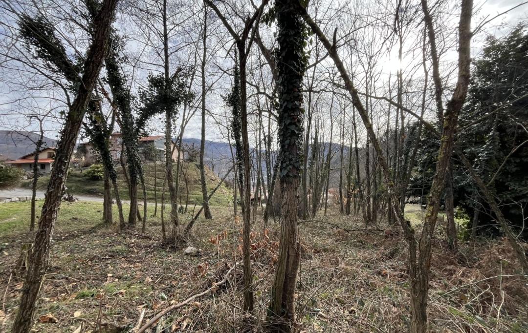 OVALIE IMMOBILIER : Terrain | MERCUS-GARRABET (09400) | 0 m2 | 30 000 &euro; 