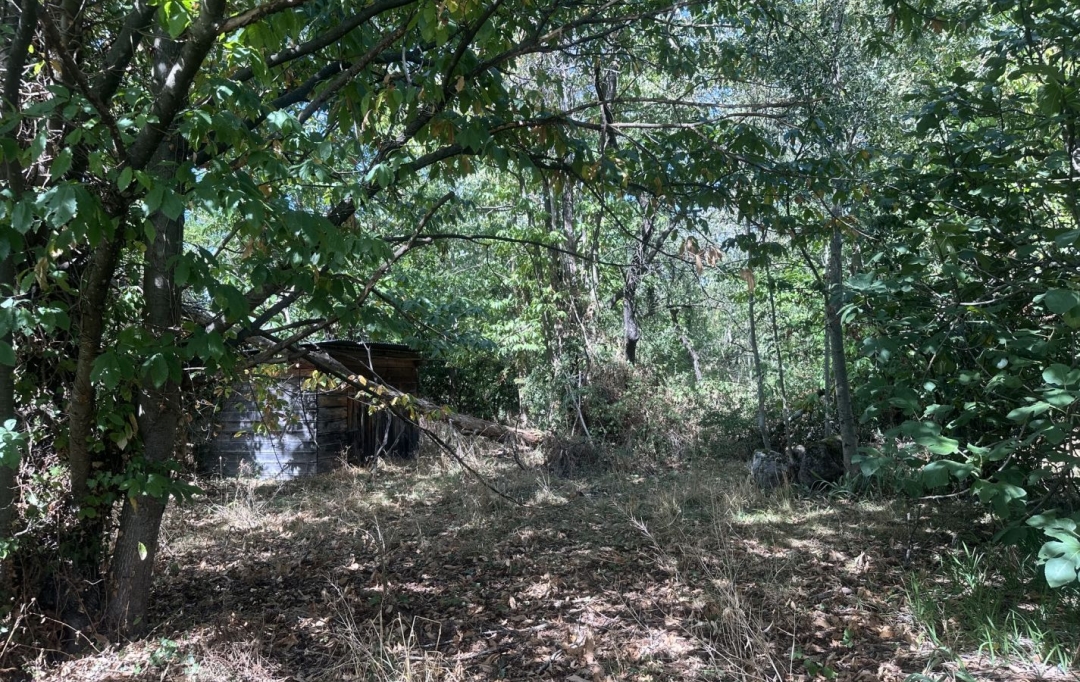 OVALIE IMMOBILIER : Ground | MONTGAILLARD (09330) | 0 m2 | 116 000 &euro; 