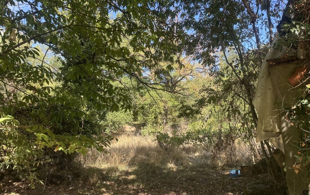 OVALIE IMMOBILIER : Ground | MONTGAILLARD (09330) | 0 m2 | 116 000 &euro; 