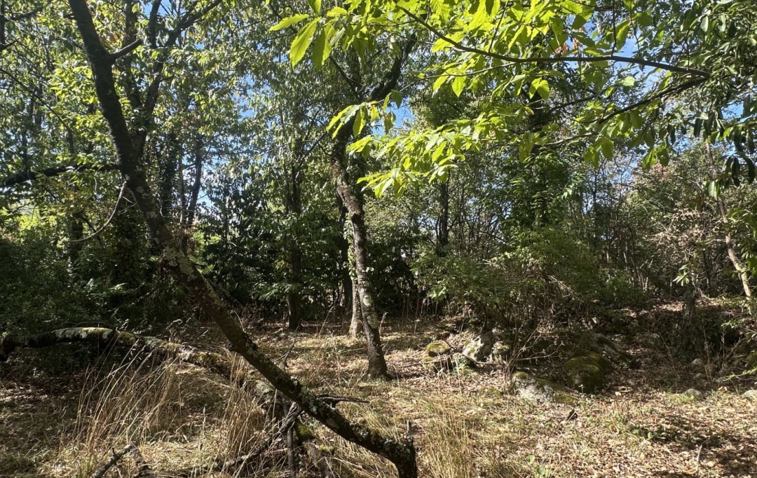 OVALIE IMMOBILIER : Ground | MONTGAILLARD (09330) | 0 m2 | 116 000 &euro; 