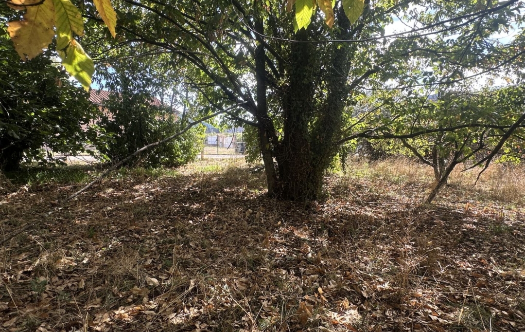 OVALIE IMMOBILIER : Ground | MONTGAILLARD (09330) | 0 m2 | 116 000 &euro; 