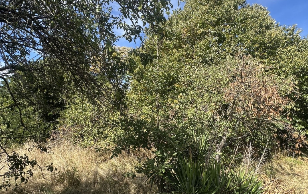 OVALIE IMMOBILIER : Ground | MONTGAILLARD (09330) | 0 m2 | 116 000 &euro; 