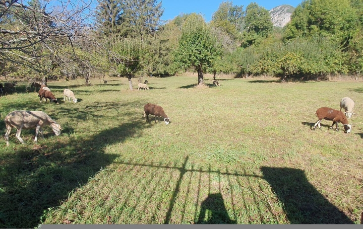  OVALIE IMMOBILIER Ground | LES CABANNES (09310) | 0 m2 | 44 000 € 