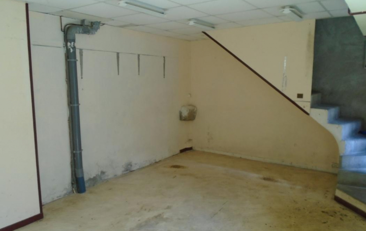 OVALIE IMMOBILIER : Maison / Villa | CAPOULET-ET-JUNAC (09400) | 35 m2 | 39 000 &euro; 