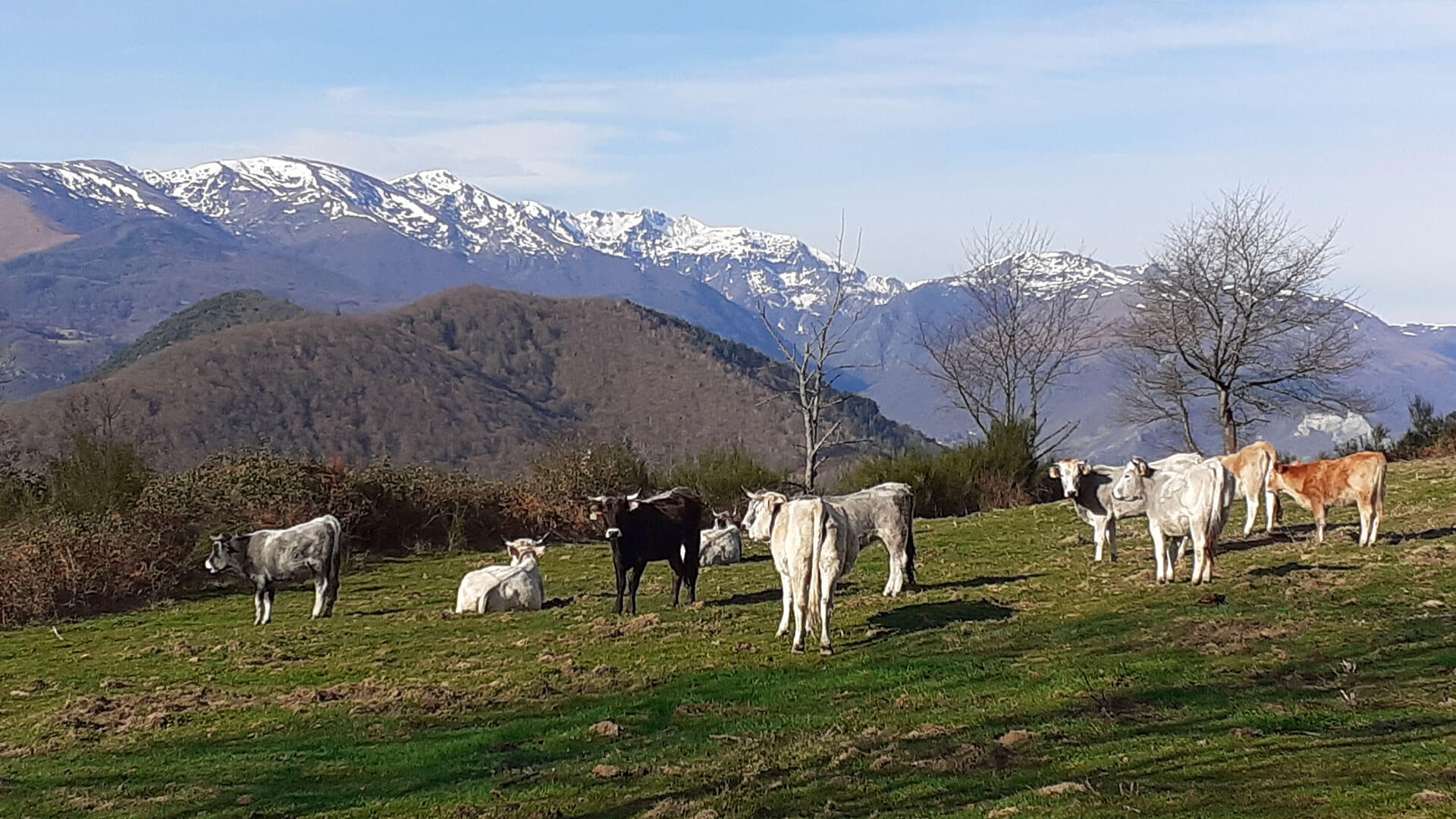 tarascon-sur-ariege-bg7